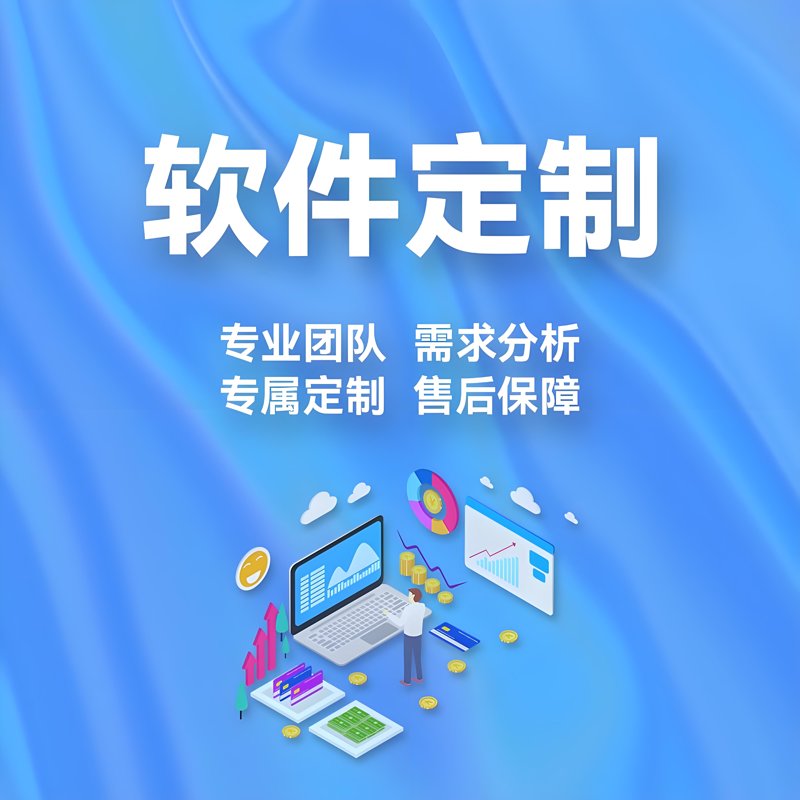 软件定制